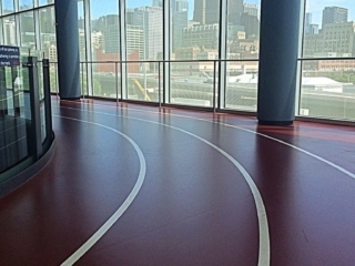 Pulastic UIC Student Rec Center IMG_6803